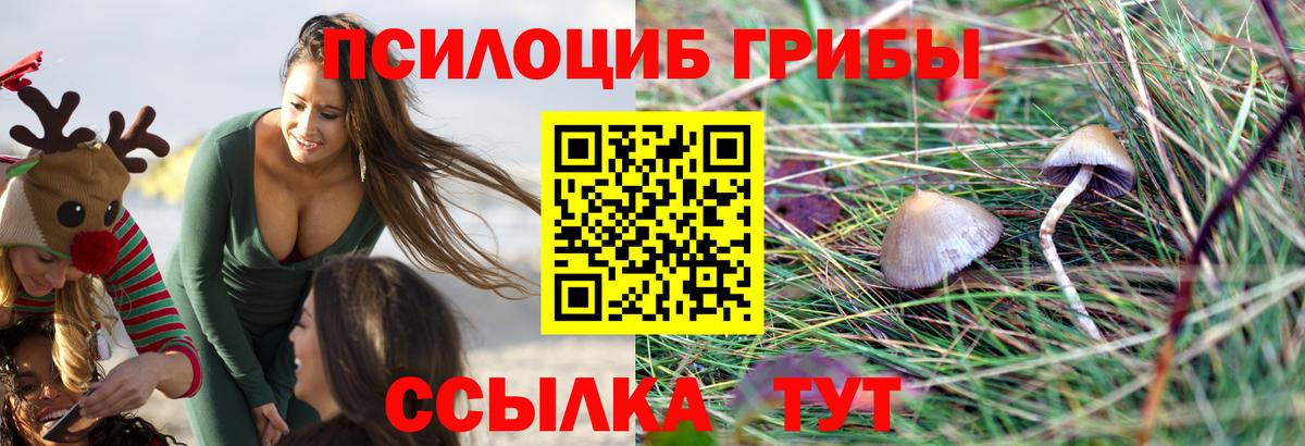 Псилоцибиновые грибы прущие грибы  Вход с VPN  Воскресенск 